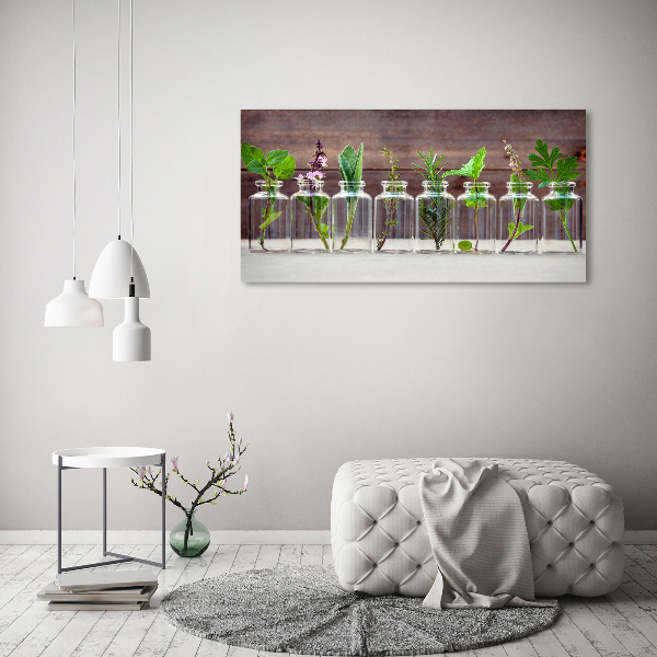 Foto obraz szklany Rośliny w słoikach