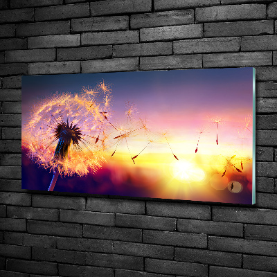 Schilderij op glas Paardebloem