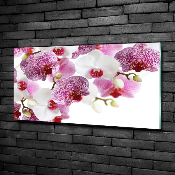 Schilderij glas Orchidee
