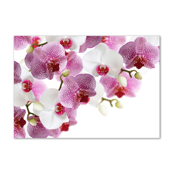 Schilderij glas Orchidee