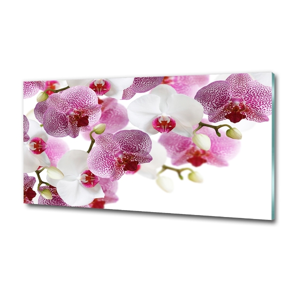 Schilderij glas Orchidee