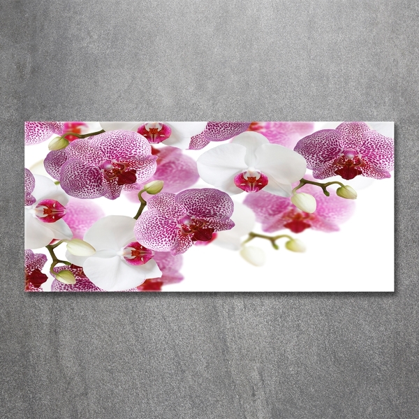 Schilderij glas Orchidee