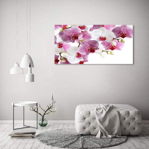 Schilderij glas Orchidee