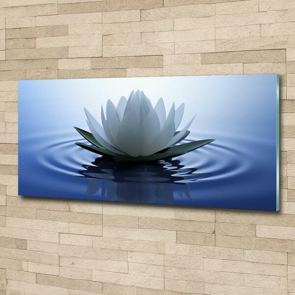 Foto obraz szkło hartowane Lilia wodna
