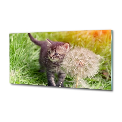 Glazen schilderij Kitten met een paardenbloem