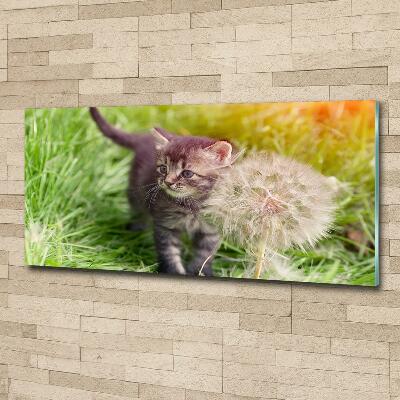Glazen schilderij Kitten met een paardenbloem