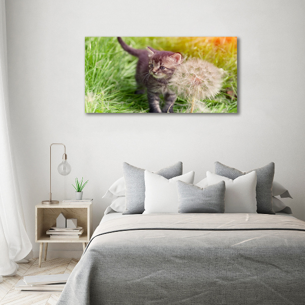 Glazen schilderij Kitten met een paardenbloem