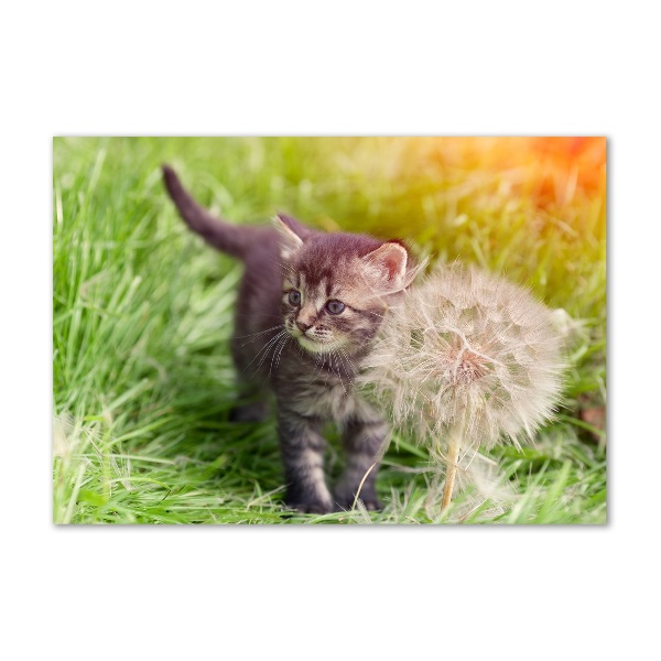 Glazen schilderij Kitten met een paardenbloem