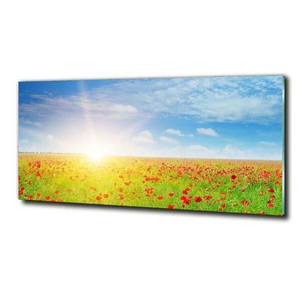 Foto obraz szkło hartowane Pole maków