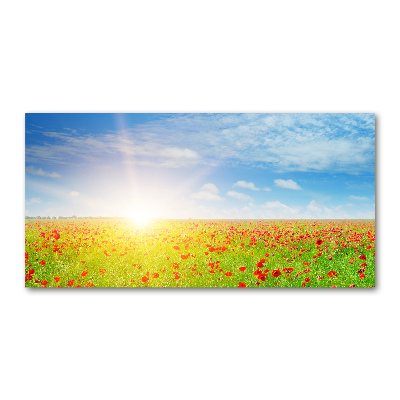 Foto obraz szkło hartowane Pole maków
