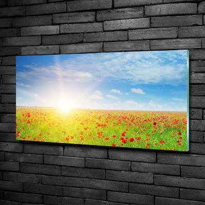 Foto obraz szkło hartowane Pole maków