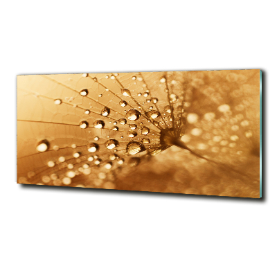 Schilderij op glas Paardebloem