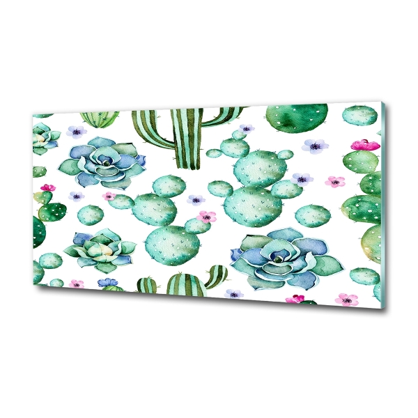 Schilderij op glas Cactussen