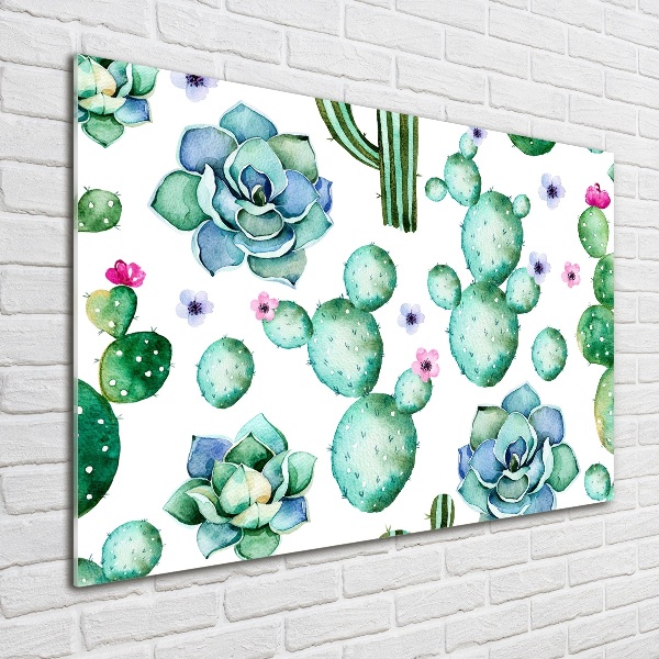 Schilderij op glas Cactussen
