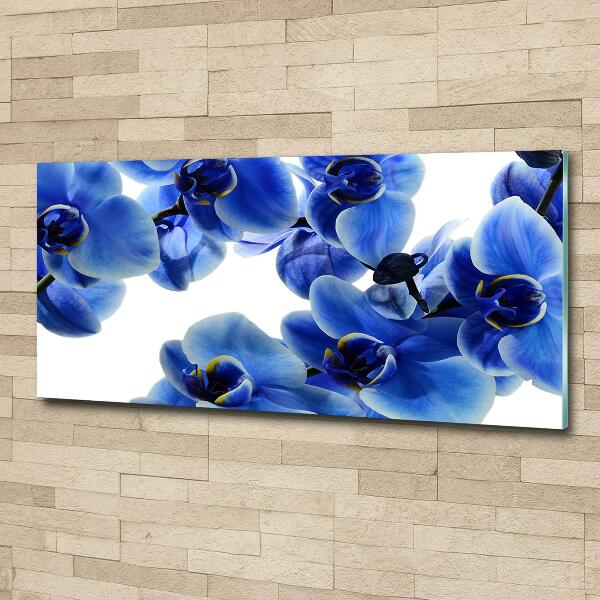 Glazen schilderij Blauwe orchidee
