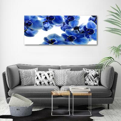 Glazen schilderij Blauwe orchidee