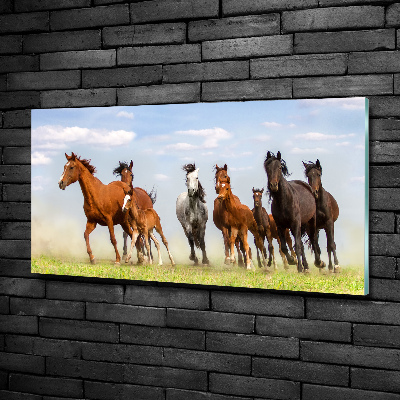Foto schilderij op glas Paarden in galop