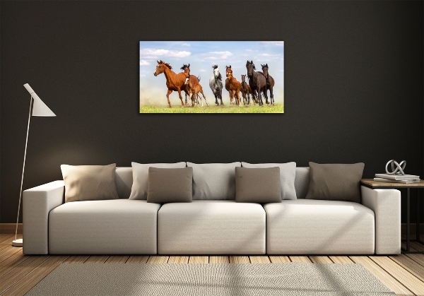 Foto schilderij op glas Paarden in galop