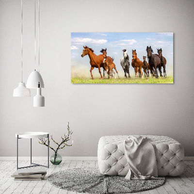 Foto schilderij op glas Paarden in galop