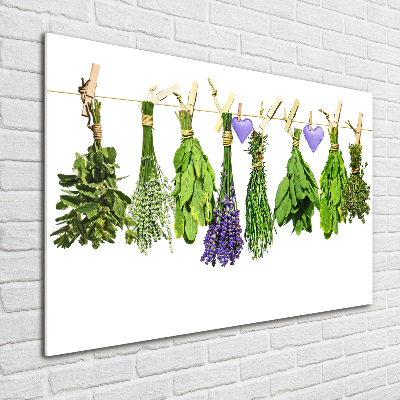 Foto obraz szklany Zioła na sznurku