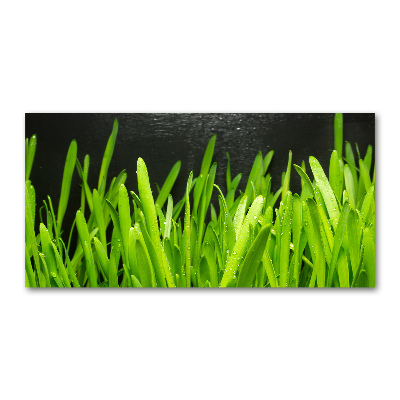 Foto schilderij op glas Gras