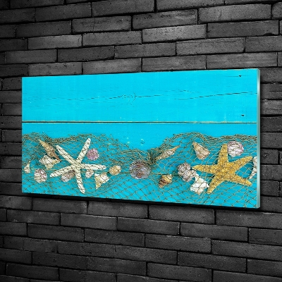 Schilderij op glas Zeesterren en schelpen