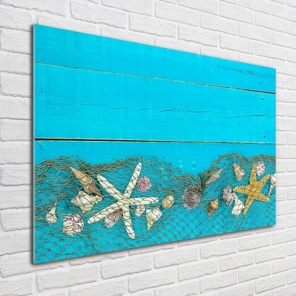 Foto obraz szklany Rozgwiazdy i muszle