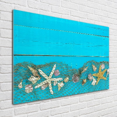 Schilderij op glas Zeesterren en schelpen