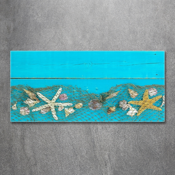Schilderij op glas Zeesterren en schelpen