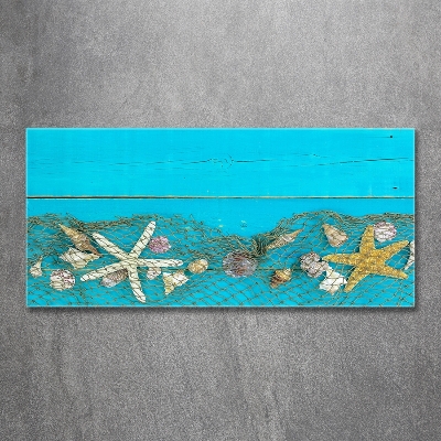 Schilderij op glas Zeesterren en schelpen