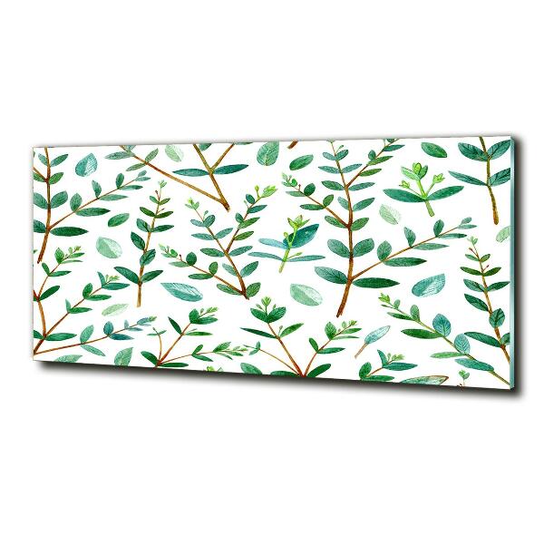 Schilderij glas Eucalyptus