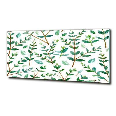 Schilderij glas Eucalyptus