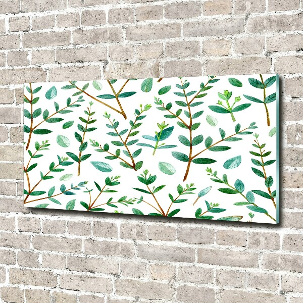 Schilderij glas Eucalyptus