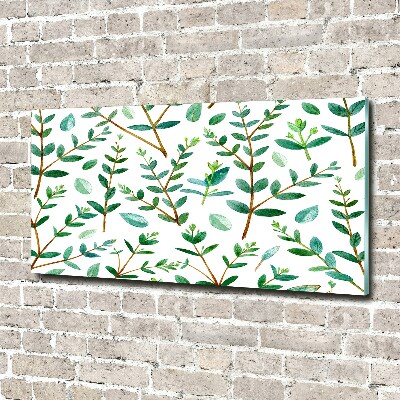 Schilderij glas Eucalyptus