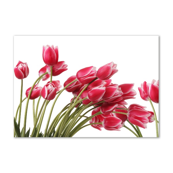 Glazen schilderij Rode tulpen