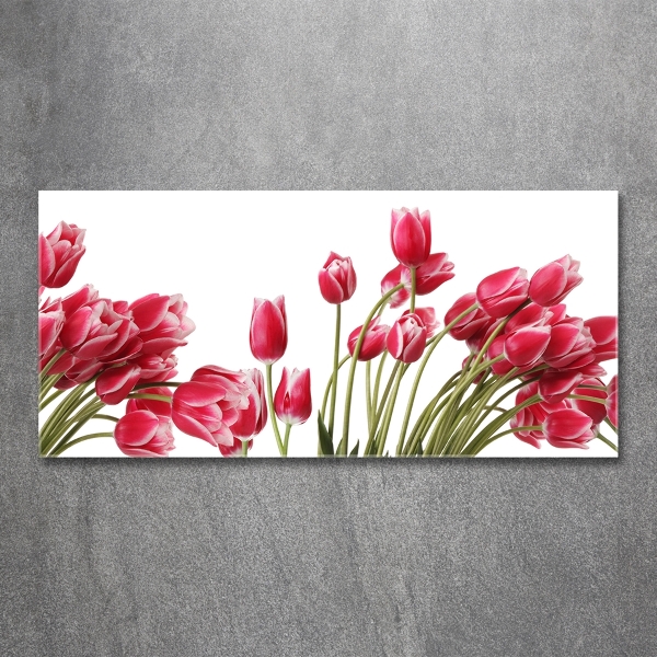 Glazen schilderij Rode tulpen