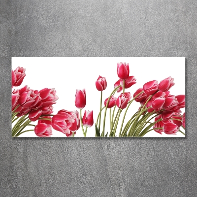 Glazen schilderij Rode tulpen