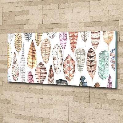 Foto-obraz szkło hartowane Kolorowe pióra