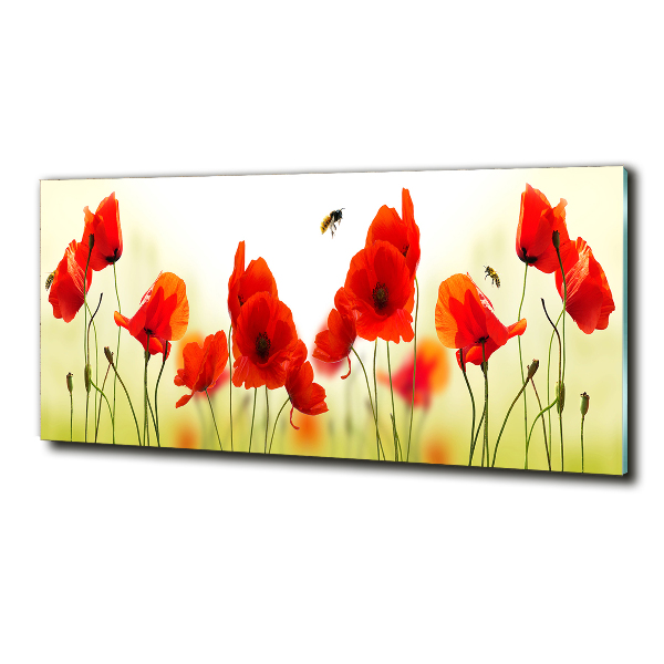 Foto schilderij op glas Klaprozen