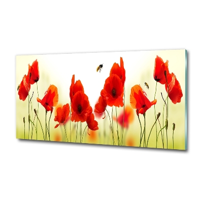 Foto schilderij op glas Klaprozen