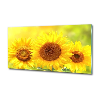 Schilderij op glas Zonnebloemen