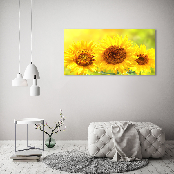 Schilderij op glas Zonnebloemen