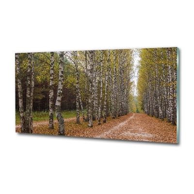 Glazen schilderij Berkenlaan