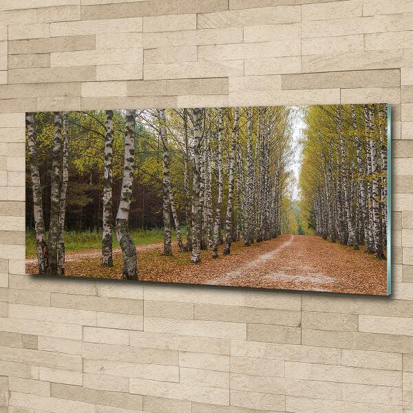 Glazen schilderij Berkenlaan