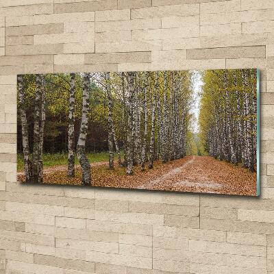 Glazen schilderij Berkenlaan