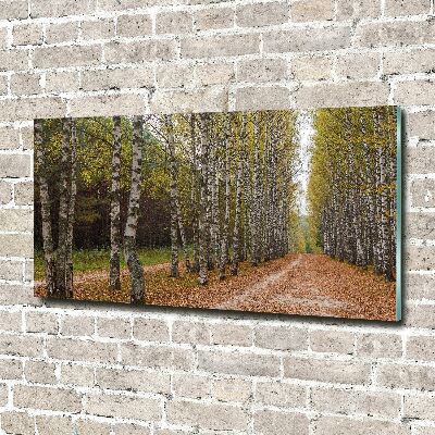 Glazen schilderij Berkenlaan