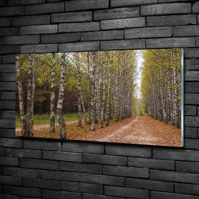 Glazen schilderij Berkenlaan