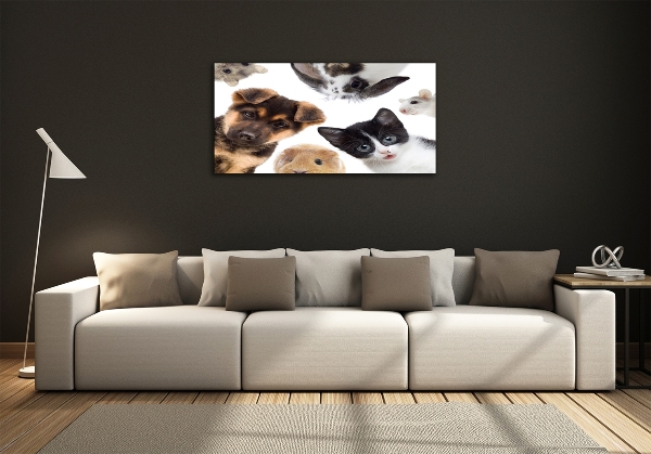 Glazen schilderij Huisdieren