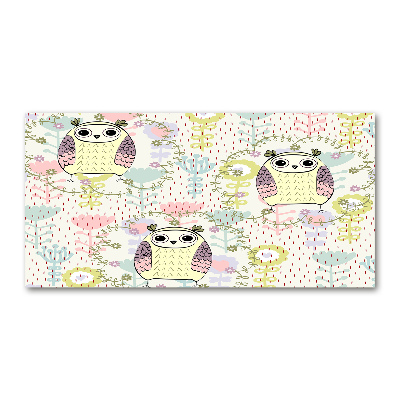 Schilderij op glas Uilen