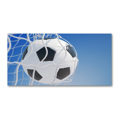 Foto obraz szkło hartowane Piłka w bramce